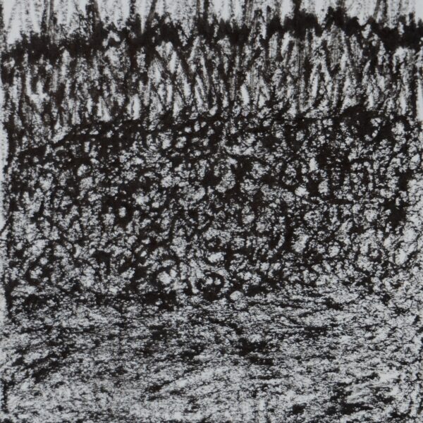 Rysunek na papierze, 2015 Rysunek3 7x5 25 13 1