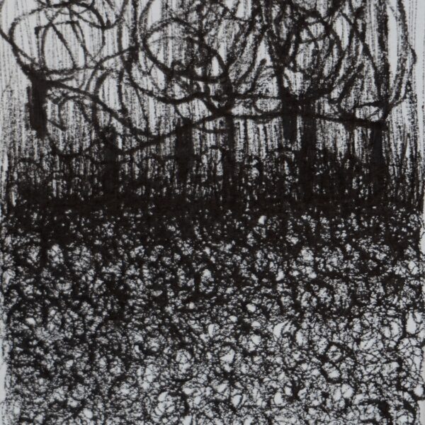 Rysunek na papierze, 2015 Rysunek3 7x5 25 17 1