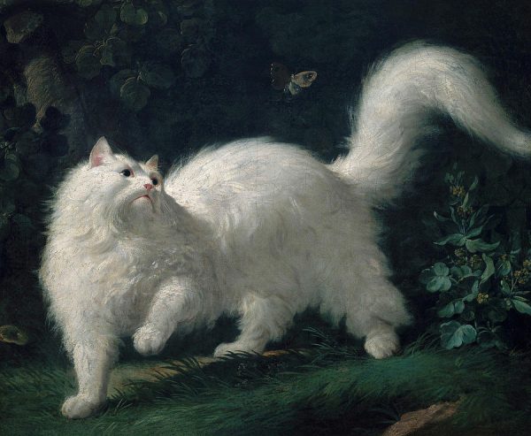 Najlepsze koty w ​​historii sztuki White Angora Cat Chasing A Butterfly 1761 Jean Jacques Bachelier