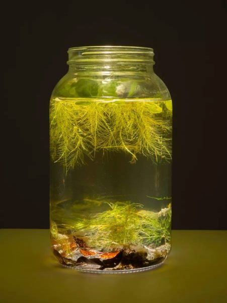 galeria sztuki a zmiany klimatyczne: czy galerie mogą być ekologiczne? sloiczek1