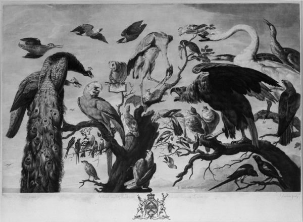 Techniki grafiki warsztatowej Brooklyn Museum A Concert Of Birds Richard Earlom
