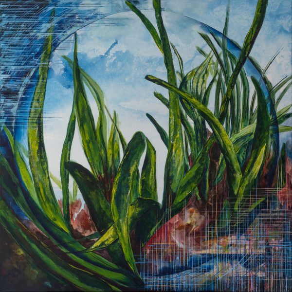 Obraz POSIDONIA PLANT, 2024 6 Posidonia Plant Akryl Na Plotnie 90x90cm 2024 4000pln