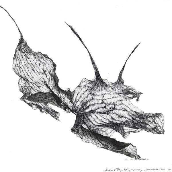 Obraz Crocodylinac, 2023 Marriage202316 Crocodylinae 30x30cm Artwork