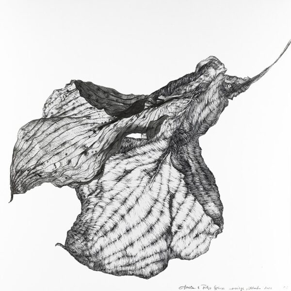Obraz Welonka, 2023 Marriage202316 Welonka 30x30cm Artwork