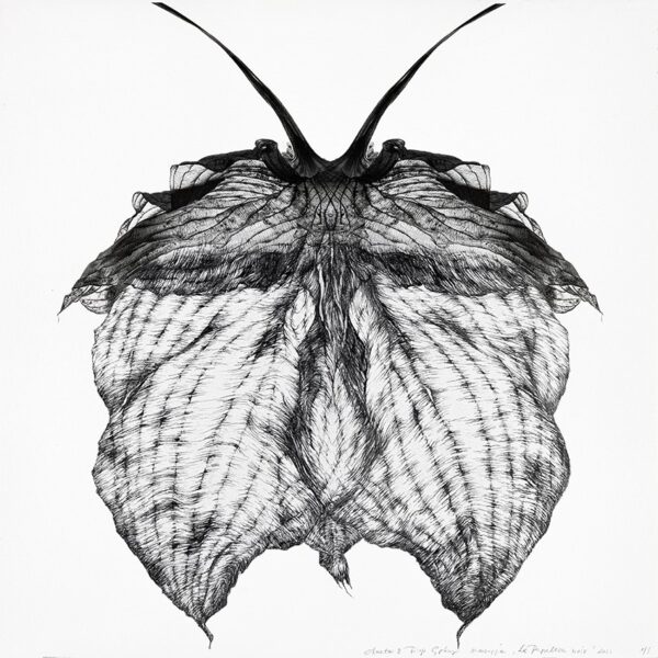 Obraz Le Papillon noir, 2022 Marriage202317 Pappilon 30x30cm Artwork