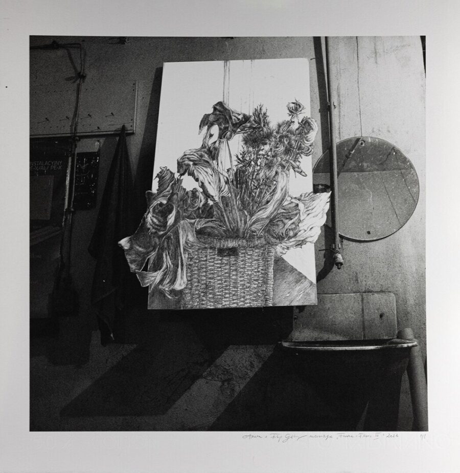 Obraz Fauna i Flora .3, 2022 Marriage202320 Faunaflora 3 35x35cm Artwork