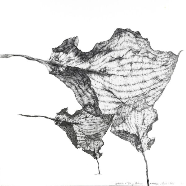 Obraz Kurki, 2023 Kurki 2023r Oryginal 30x30cm Artwork 72dpi
