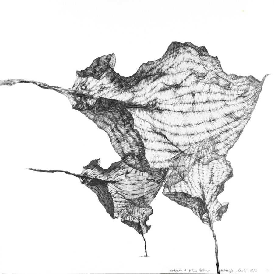 Obraz Kurki, 2023 Kurki 2023r Oryginal 30x30cm Artwork 72dpi