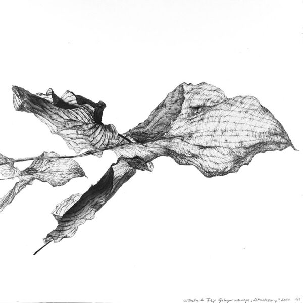 Obraz Lotonotozaury, 2023 Lotonotozaury 2023r Oryginal 30x30cm Artwork 72dpi